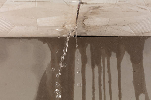 Professional Water Damage Repair technician working in Cairo, OH